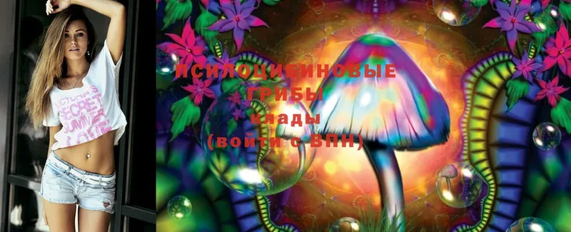 Галлюциногенные грибы MAGIC MUSHROOMS  Выкса 